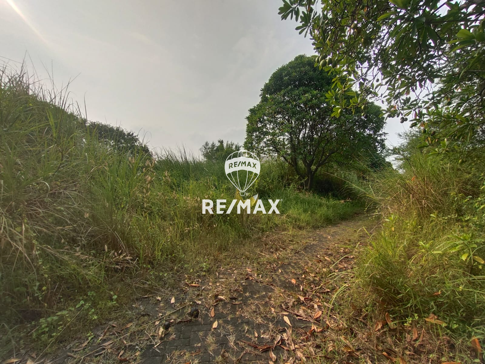 DIJUAL KAVLING STRATEGIS – TAMAN SENTOSA BLOK I4, CIKARANG